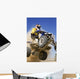 Quad X Wall Decal