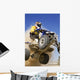 Quad X Wall Decal