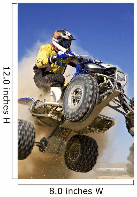 Quad X Wall Decal