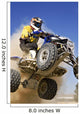 Quad X Wall Decal