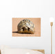 Leopard Tortoise Walking Slowly Wall Decal