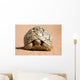 Leopard Tortoise Walking Slowly Wall Decal