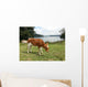 Vaca Wall Decal