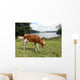 Vaca Wall Decal