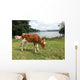 Vaca Wall Decal