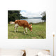 Vaca Wall Decal