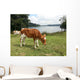 Vaca Wall Decal