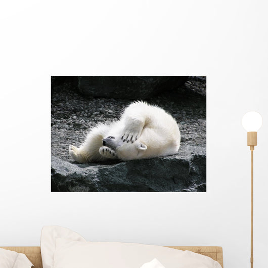 Polar Bear Having Fun Wall Decal