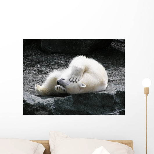 Polar Bear Having Fun Wall Decal