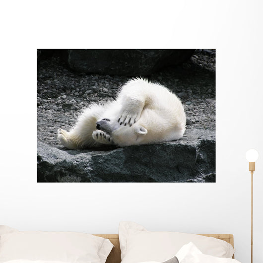 Polar Bear Having Fun Wall Decal
