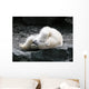 Polar Bear Having Fun Wall Decal