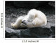 Polar Bear Having Fun Wall Decal