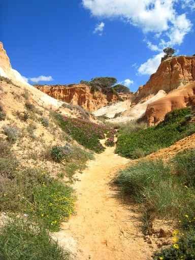 Algarve Wall Decal