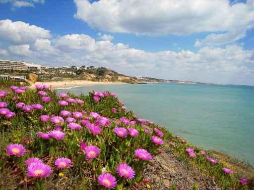 Portugisische Algarve Wall Decal