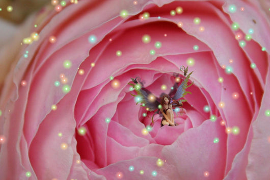 Pink Rose Fairy Wall Decal