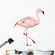 Greater Flamingo Wall Decal