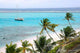 Tobago Cases Wall Decal