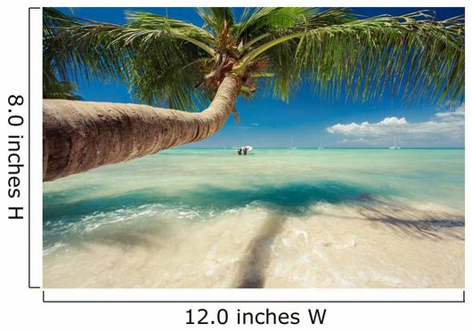 Beautiful Palm Tree over Wall Decal