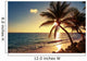 Sunny Tropical Palm Trees Wall Decal