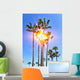 Sun behind Palms Wall Decal