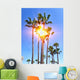 Sun behind Palms Wall Decal