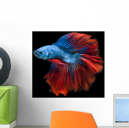 Capture Moving Moment Red-blue Wall Decal