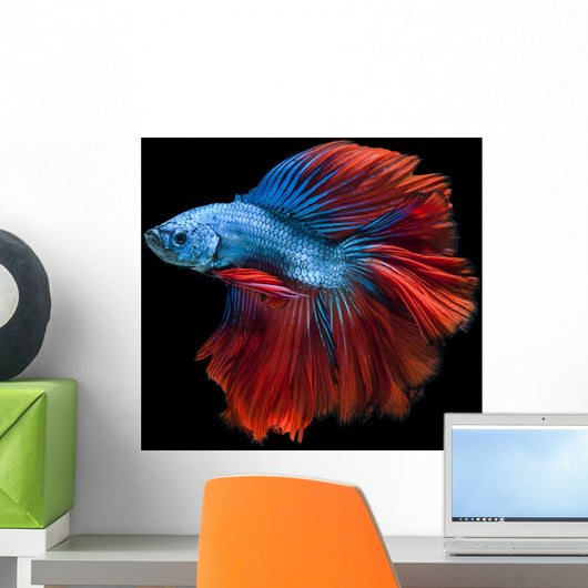 Capture Moving Moment Red-blue Wall Decal
