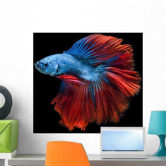 Capture Moving Moment Red-blue Wall Decal
