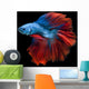 Capture Moving Moment Red-blue Wall Decal