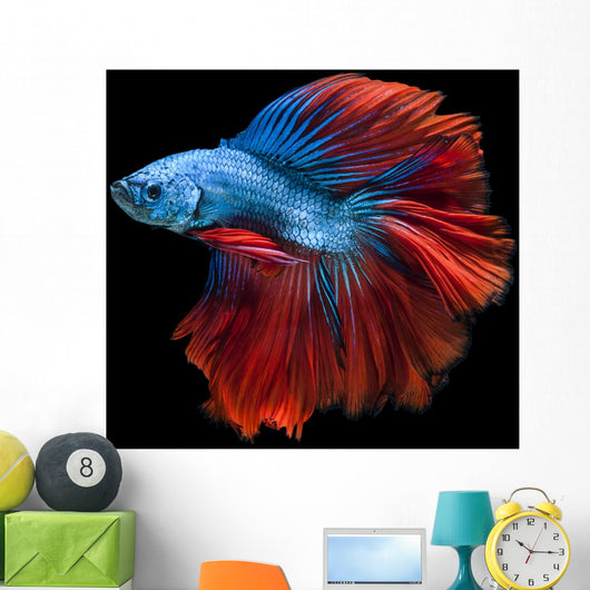 Capture Moving Moment Red-blue Wall Decal