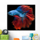 Capture Moving Moment Red-blue Wall Decal