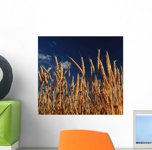 Gold Fields Wall Decal