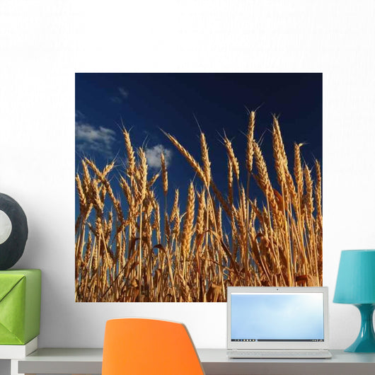 Gold Fields Wall Decal