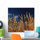 Gold Fields Wall Decal
