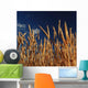 Gold Fields Wall Decal