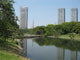 Contrast Japonais Wall Mural