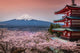 Beautiful MT Fuji during Sakura Wall Decal