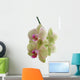 Orchid Wall Decal