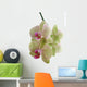 Orchid Wall Decal