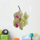Orchid Wall Decal