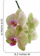 Orchid Wall Decal