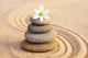 Stone Balance and Flower Wall Decal