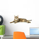 Beautiful Tabby Cat Wall Decal