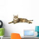 Beautiful Tabby Cat Wall Decal