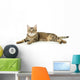 Beautiful Tabby Cat Wall Decal