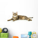 Beautiful Tabby Cat Wall Decal