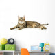 Beautiful Tabby Cat Wall Decal