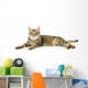 Beautiful Tabby Cat Wall Decal