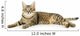 Beautiful Tabby Cat Wall Decal