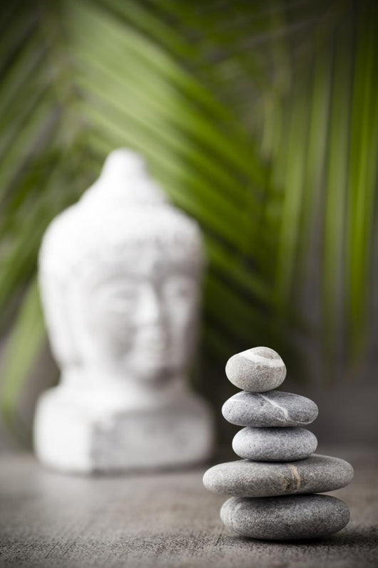 Wellness Wall Decal